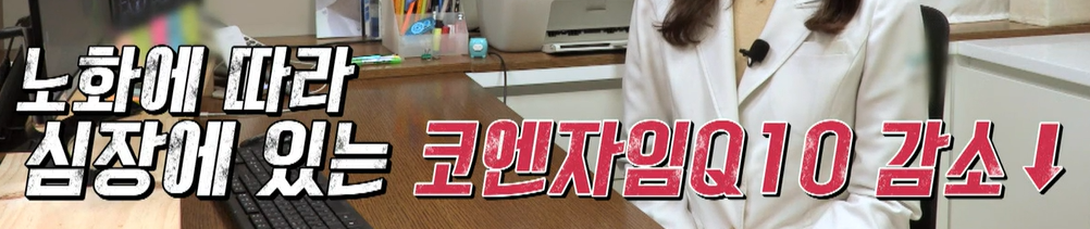 코엔자임q10