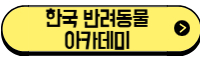 한국반려동물아카데미 바로가기