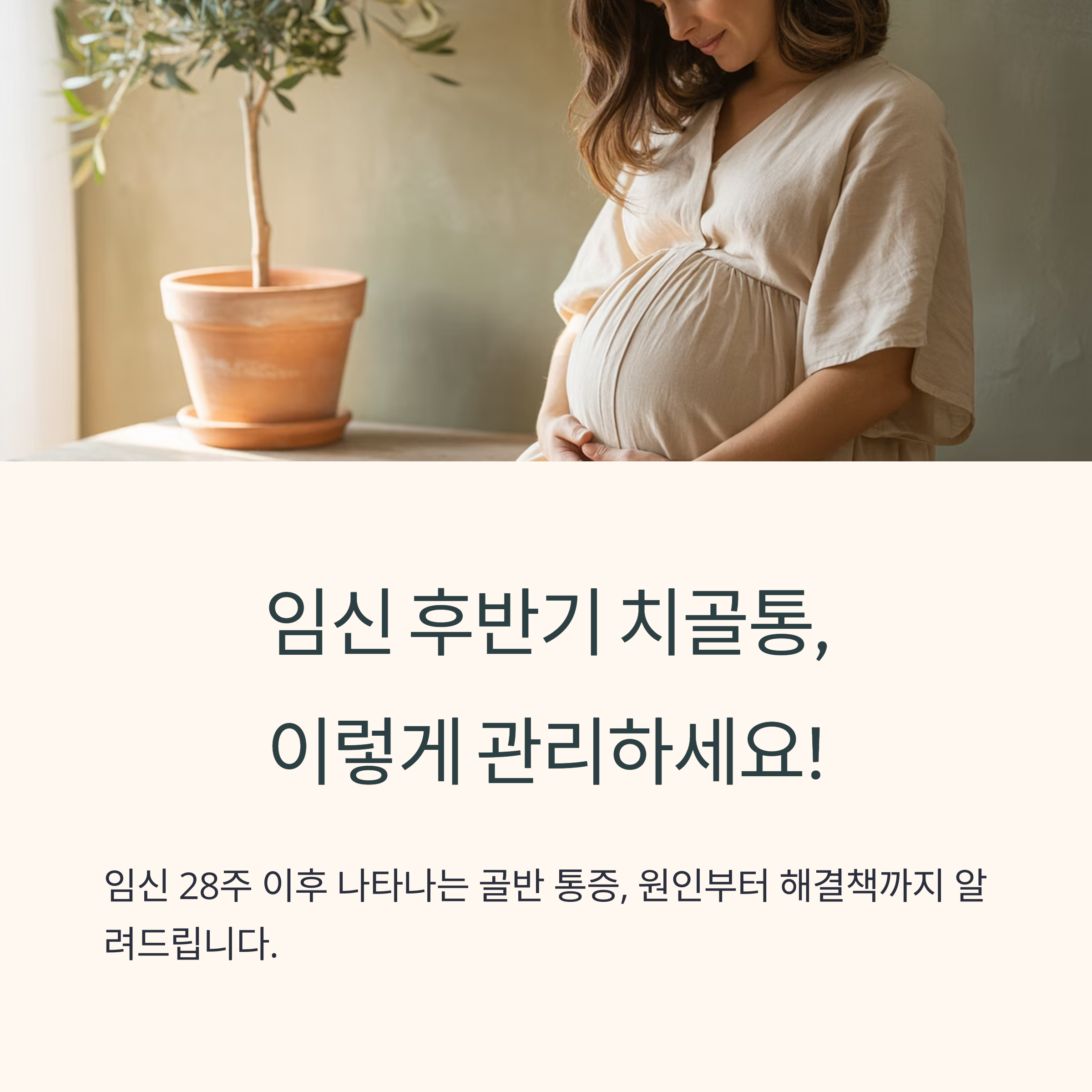 임신 후반기 배를 감싸고 있는 임산부 이미지와 함께 치골통 관리 정보를 소개하는 안내 이미지