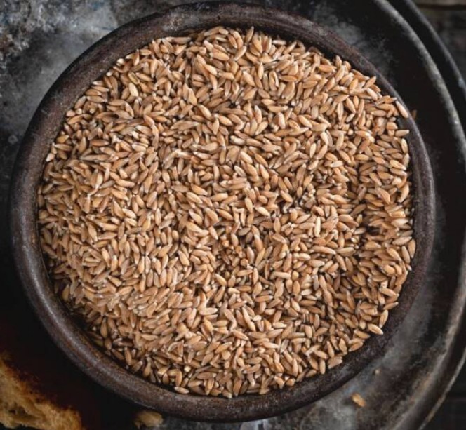 카무트 효소 뜻