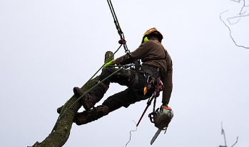 소상공인-정책자금-상환연장-신청