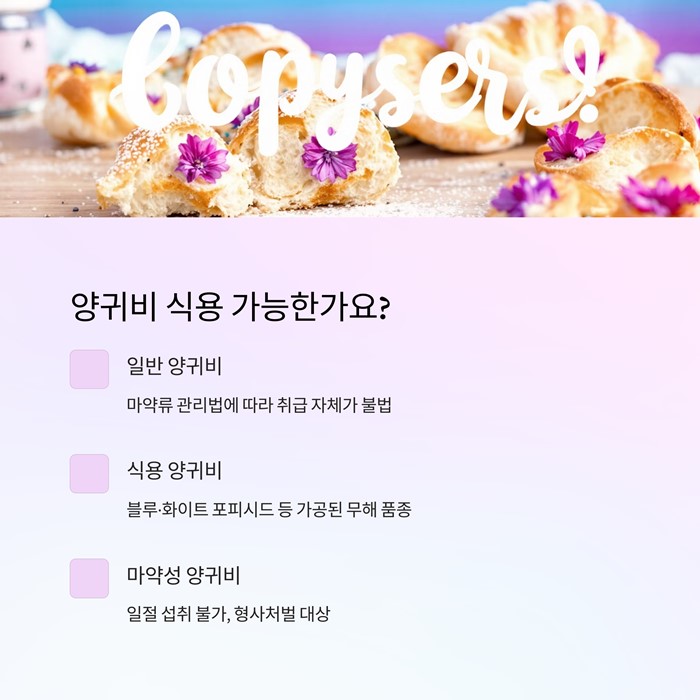양귀비 효능과 부작용&amp;#44; 섭취 전 꼭 알아야 할 5가지 요약 이미지