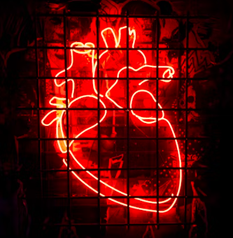 심근경색 전조증상 원인 예방법