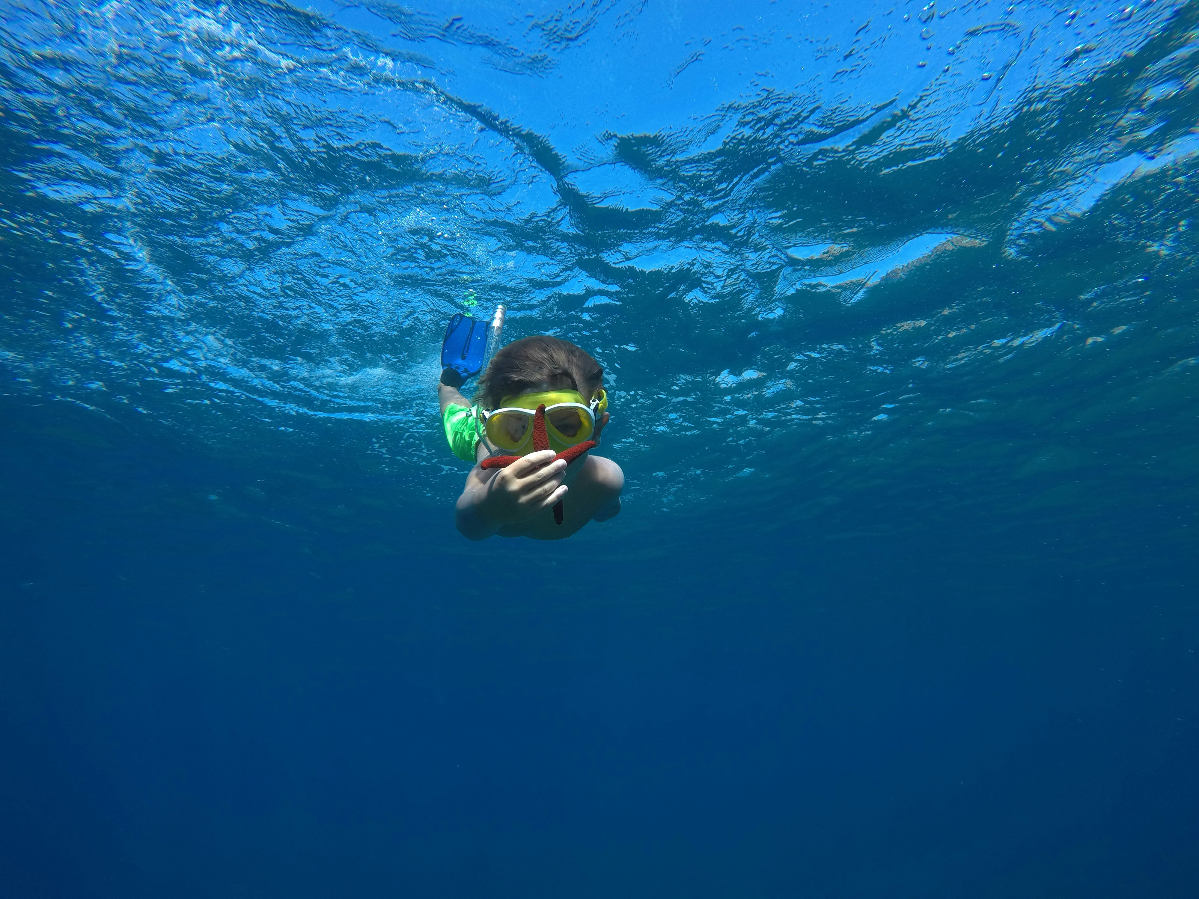 제주 스노쿨링