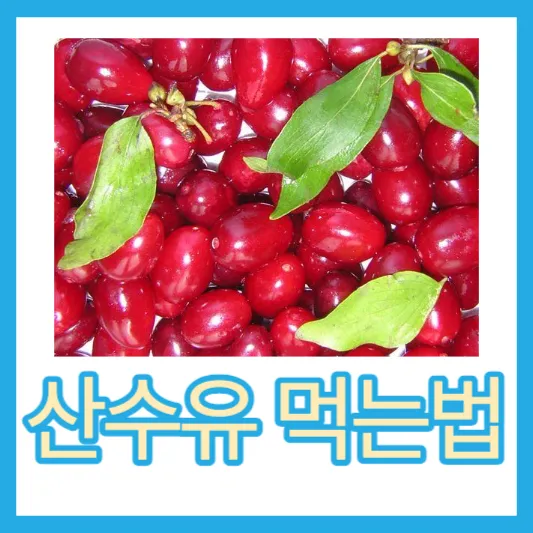 산수유 먹는법