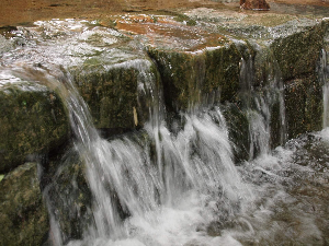전립선에 좋은 음식, 습관