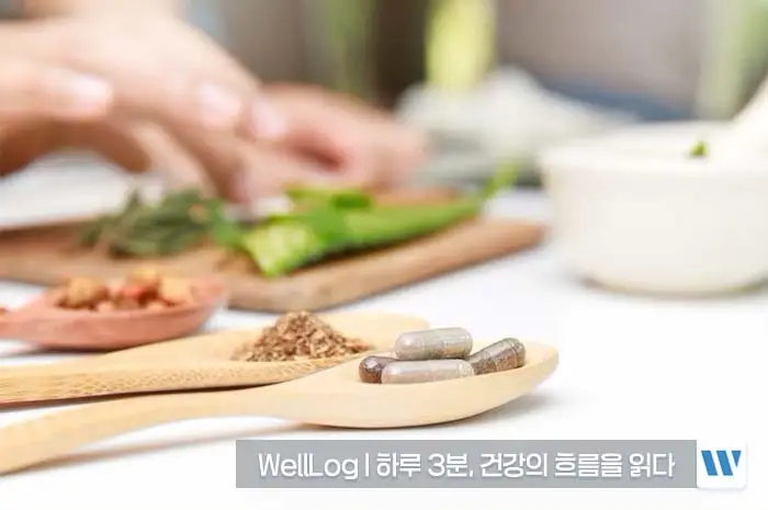 콘드로이친 복용법, 복용시간, 복용기간, 주의사항