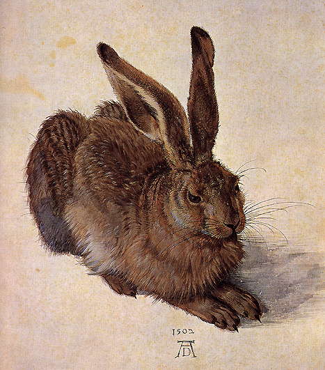알브레히트 뒤러, <야생 토끼>, 수채화, 25.1X22.6cm, 1502년, 알베르티나 박물관