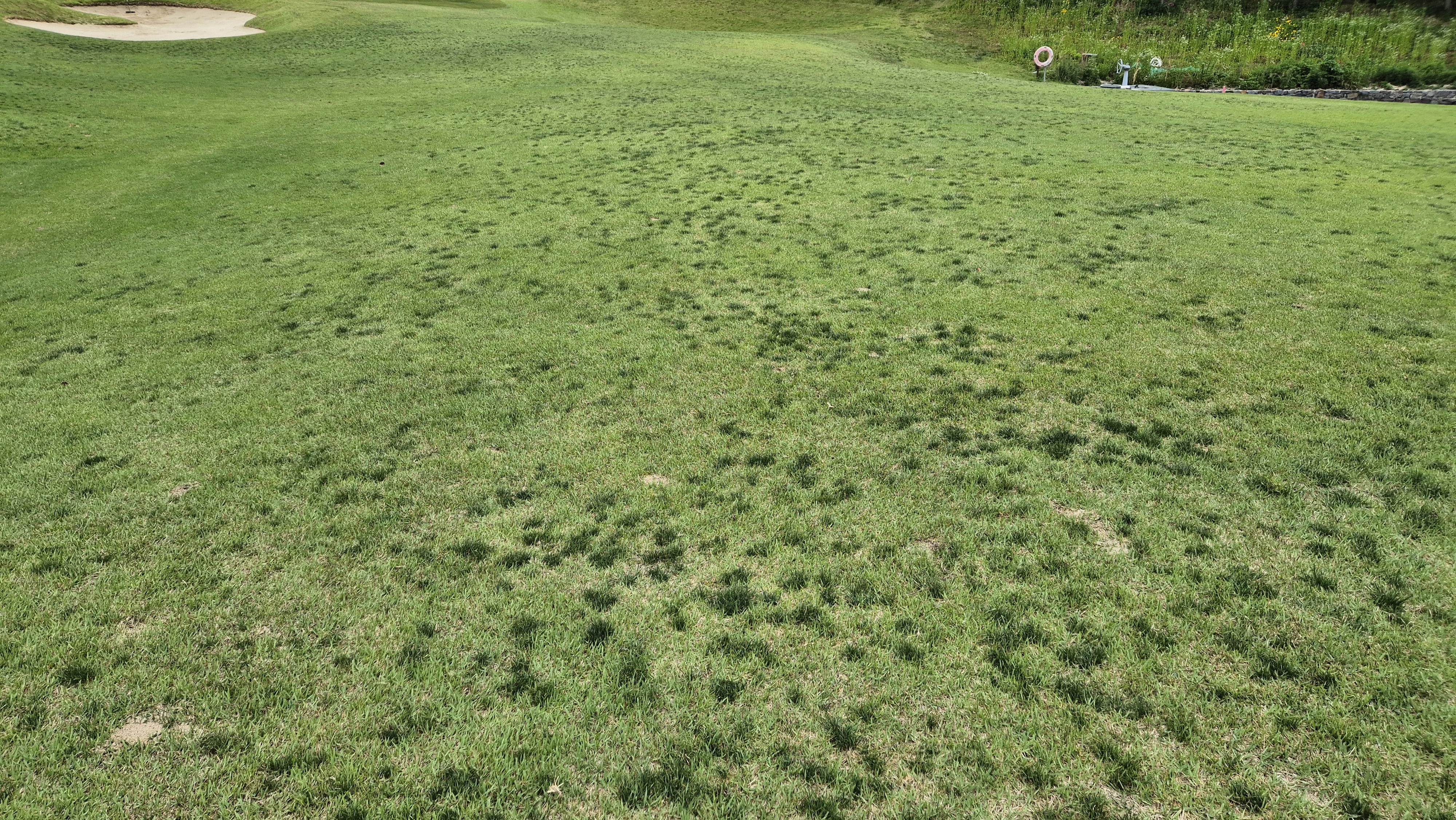 샴발라cc 라운드 후기