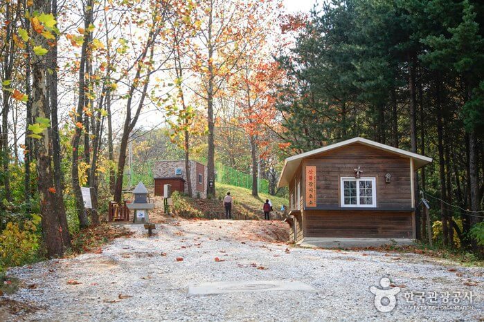 2월 국내 여행지 베스트 10