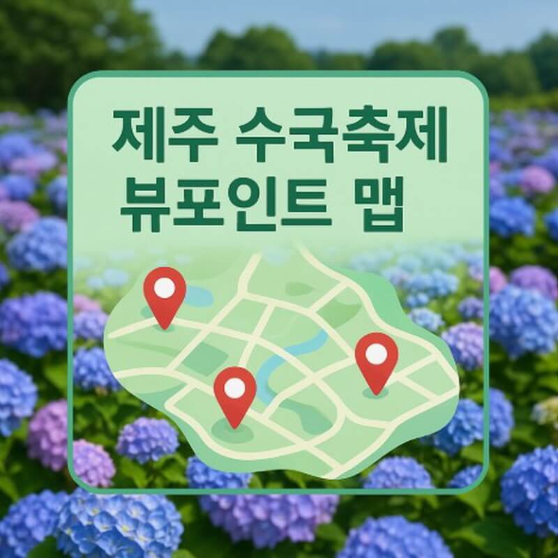 제주 수국축제 뷰포인트 맵 (전경 감상, 일출, 촬영 명소) 관련사진