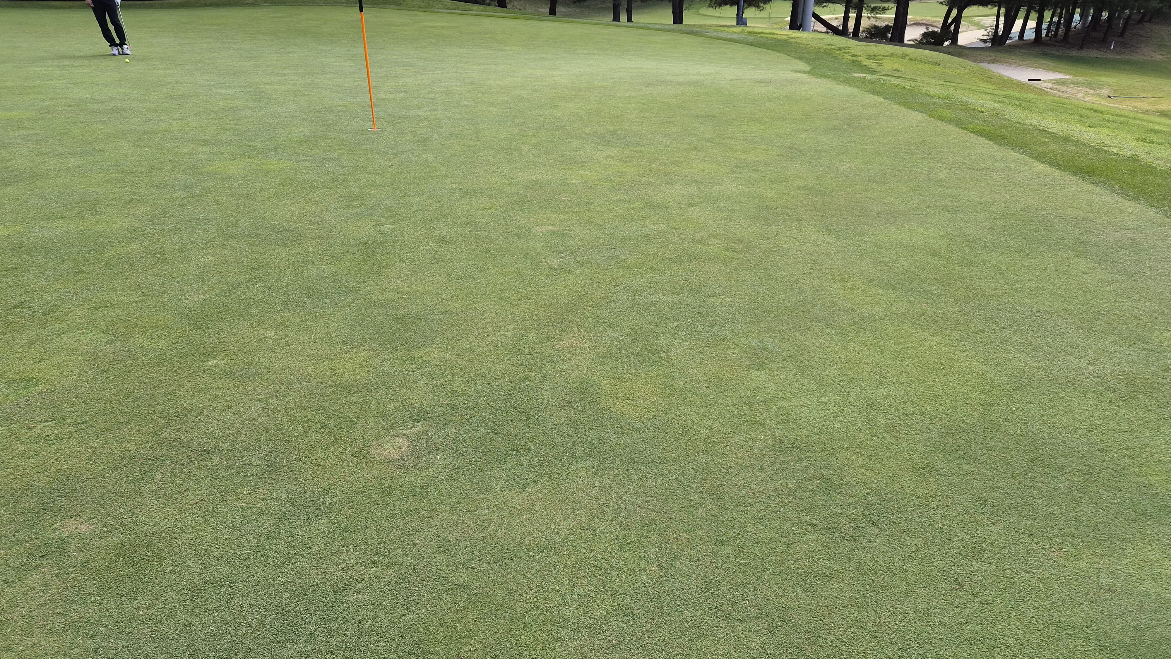 포웰cc 프린세스 라운드 후기