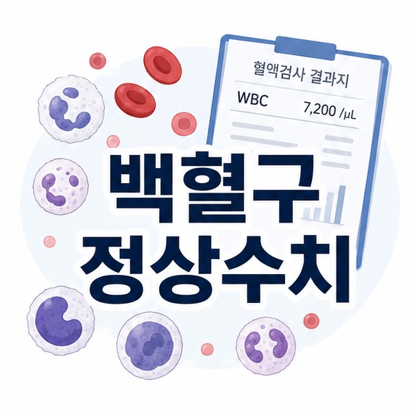 혈액 속 백혈구와 혈액검사 결과지를 함께 배치해 백혈구 정상수치를 설명하는 대표 이미지
