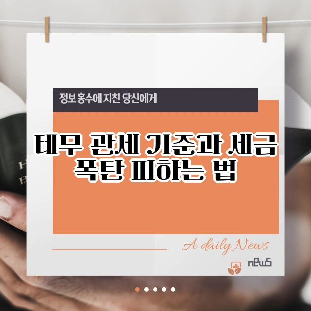 테무 세금 폭탄 피하는 법 관세 이슈