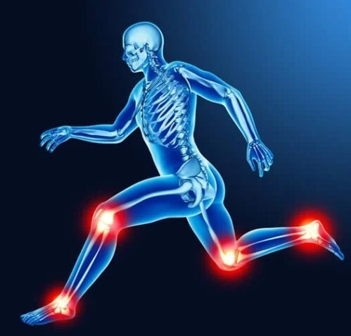 위톱 효능 부작용 (내돈내산 후기