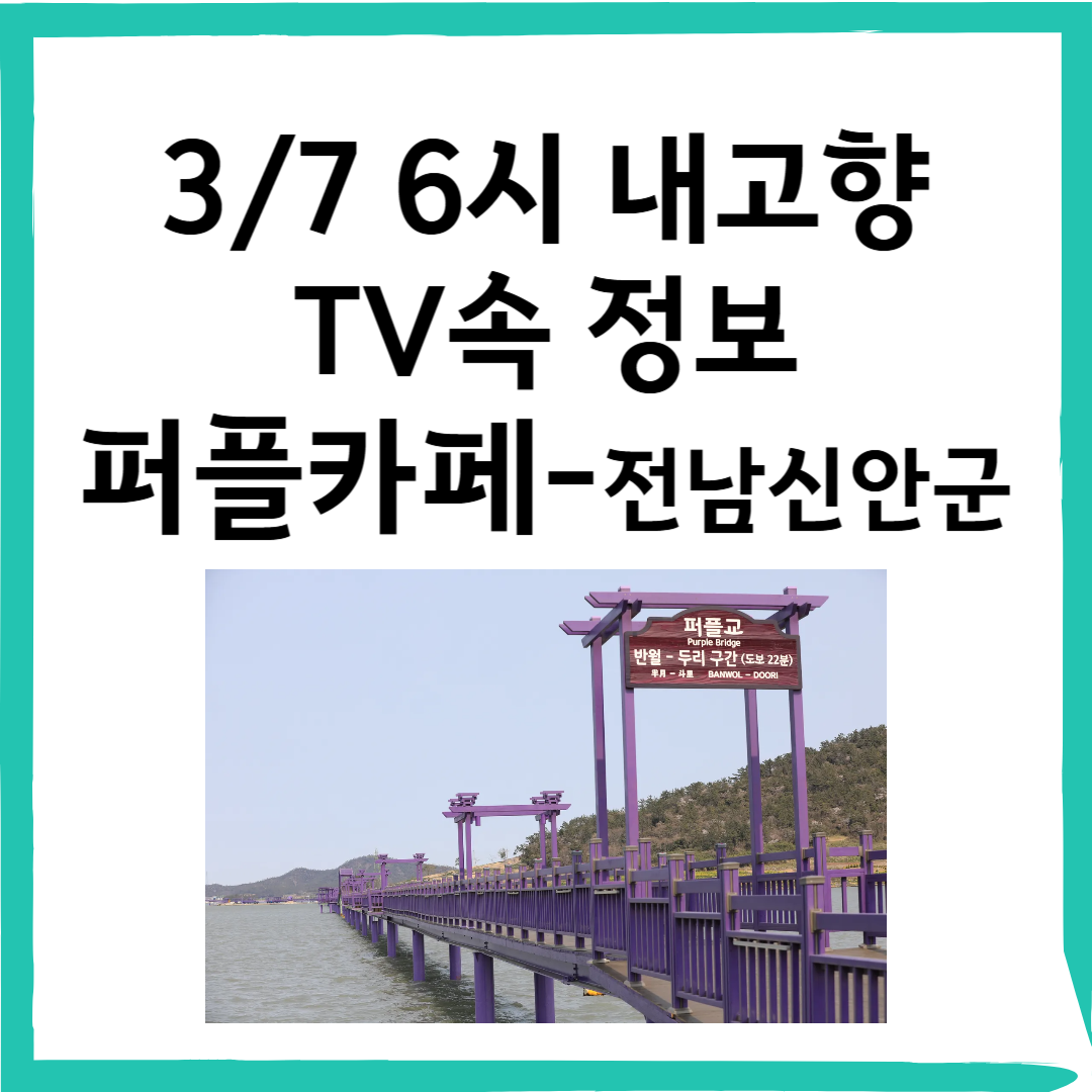 6시 내고향 방영! 신안 퍼플카페 – 보라색 감성 가득한 디저트 맛집