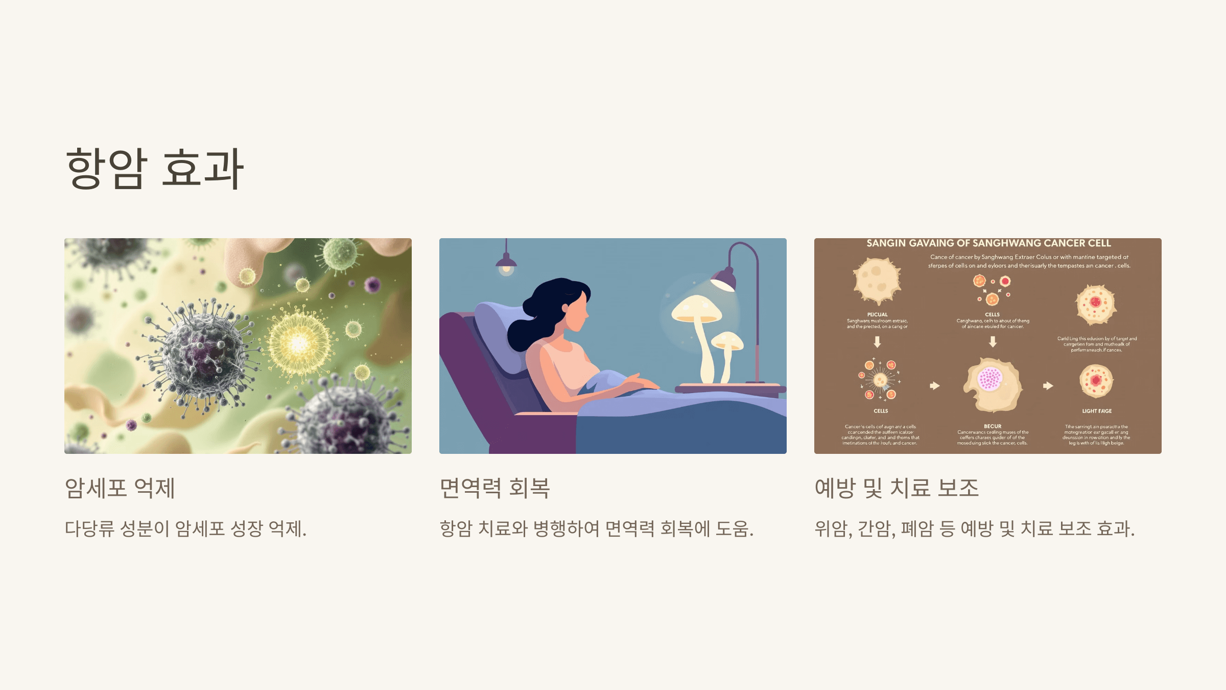 상황버섯 사진입니다.