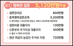 보은군 결혼 지원금