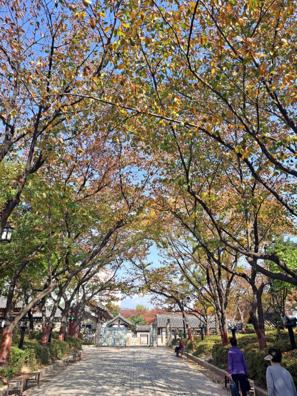 화도진공원 단풍길