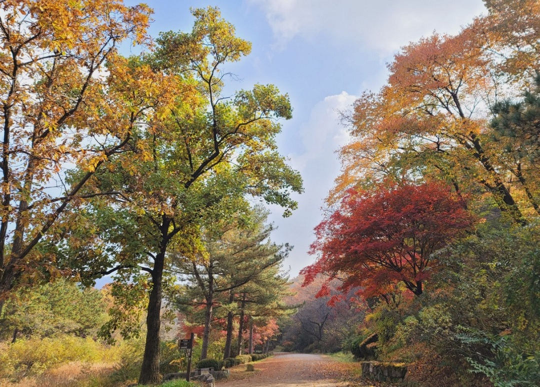서울대 안양수목원