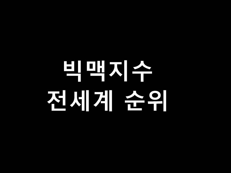 빅맥지수 순위