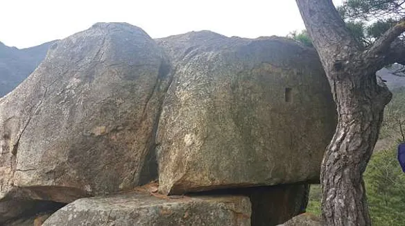용선대