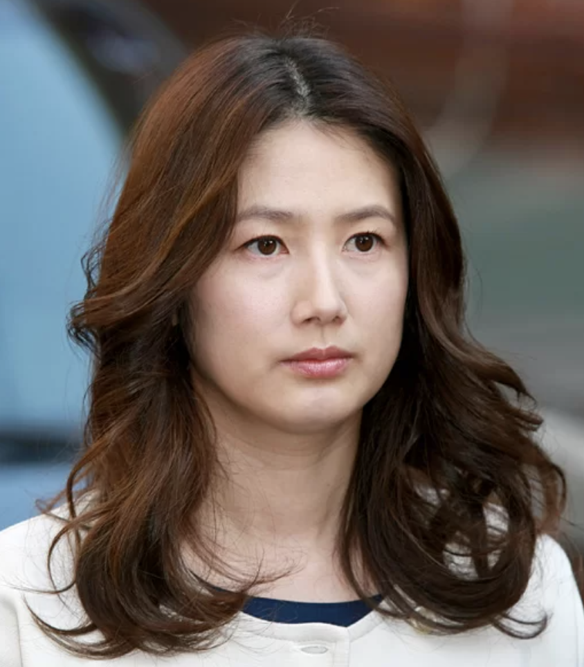 심은하 복귀