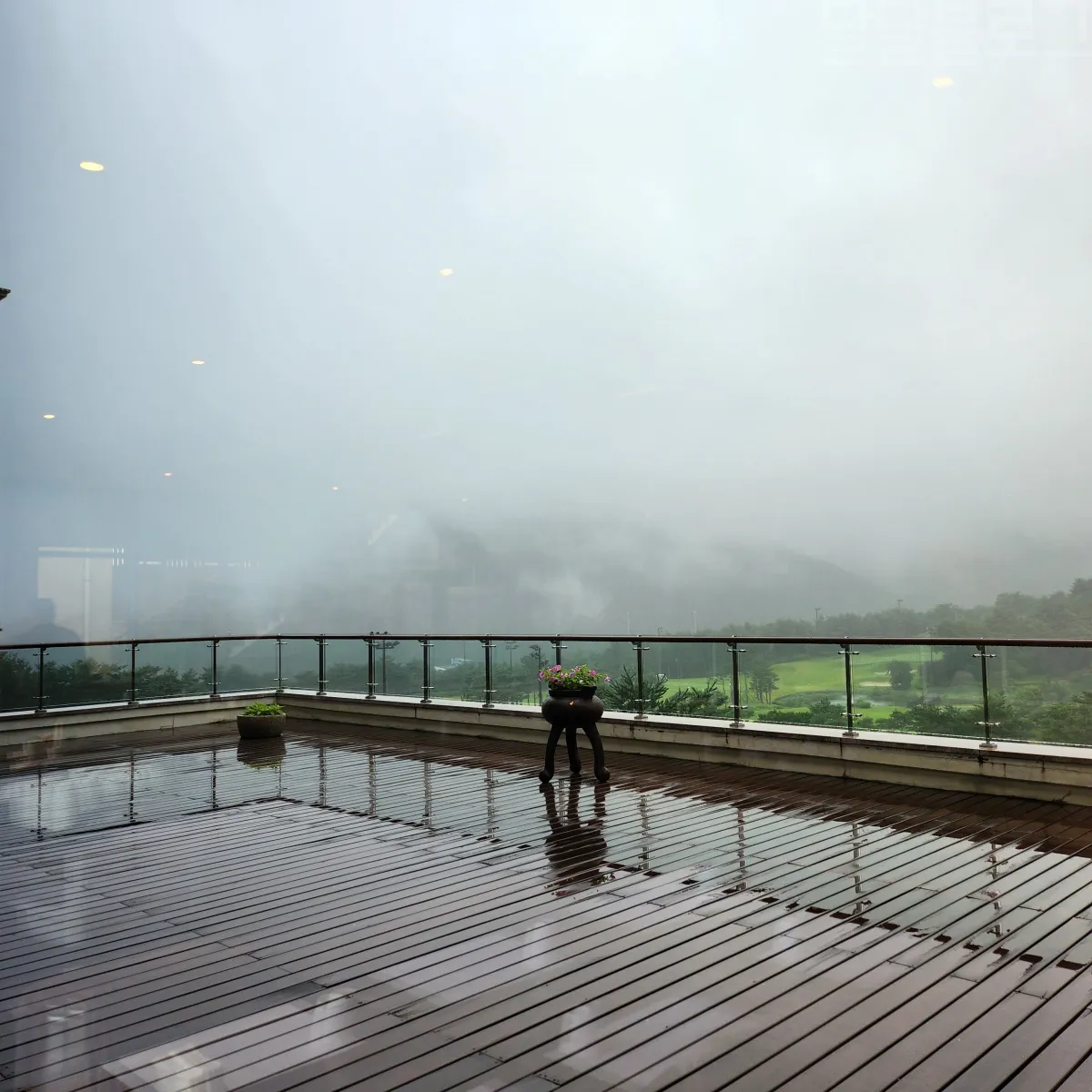 강원도-델피노-소노캄-송원-날씨