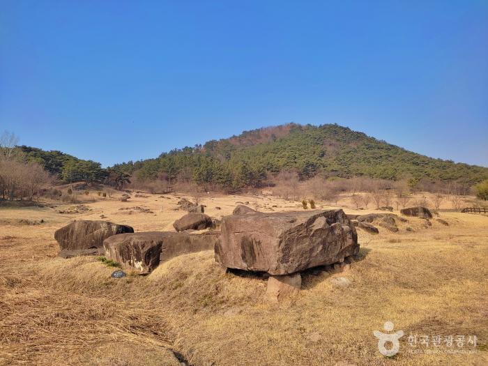 들판에 고인돌 여러개가 있다.