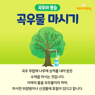 곡우 뜻 | 24절기 정리