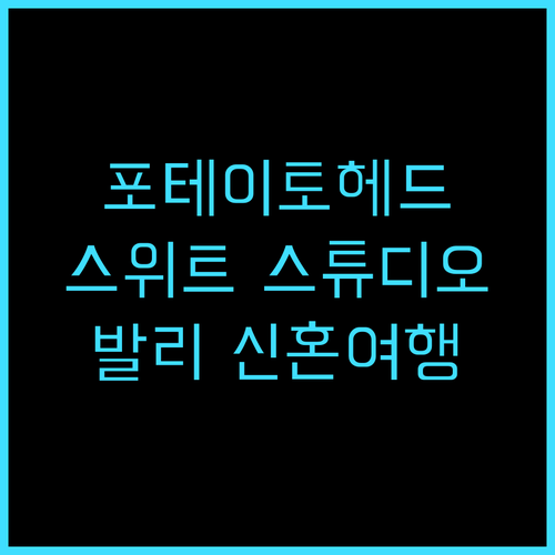 포테이토 헤드 스위트 스튜디오 추천 ..