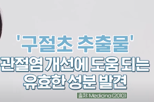 구절초 효능