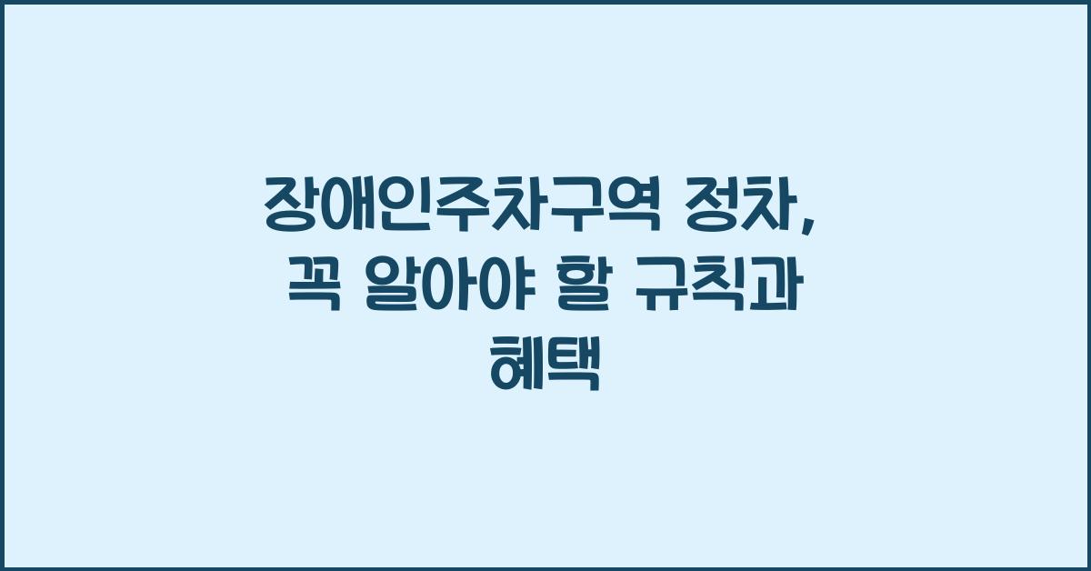 장애인주차구역 정차