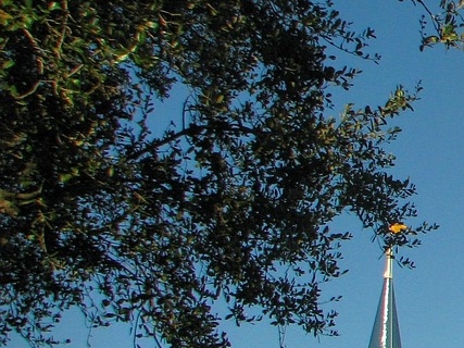 디즈니런 서울 2025 여의도 마라톤 개최 캐릭터 코스프레까지 참가접수는?