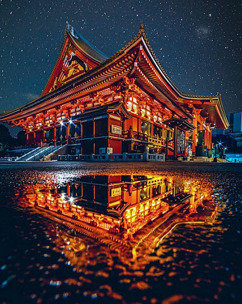 일본-메이지-신궁-야경의-모습
