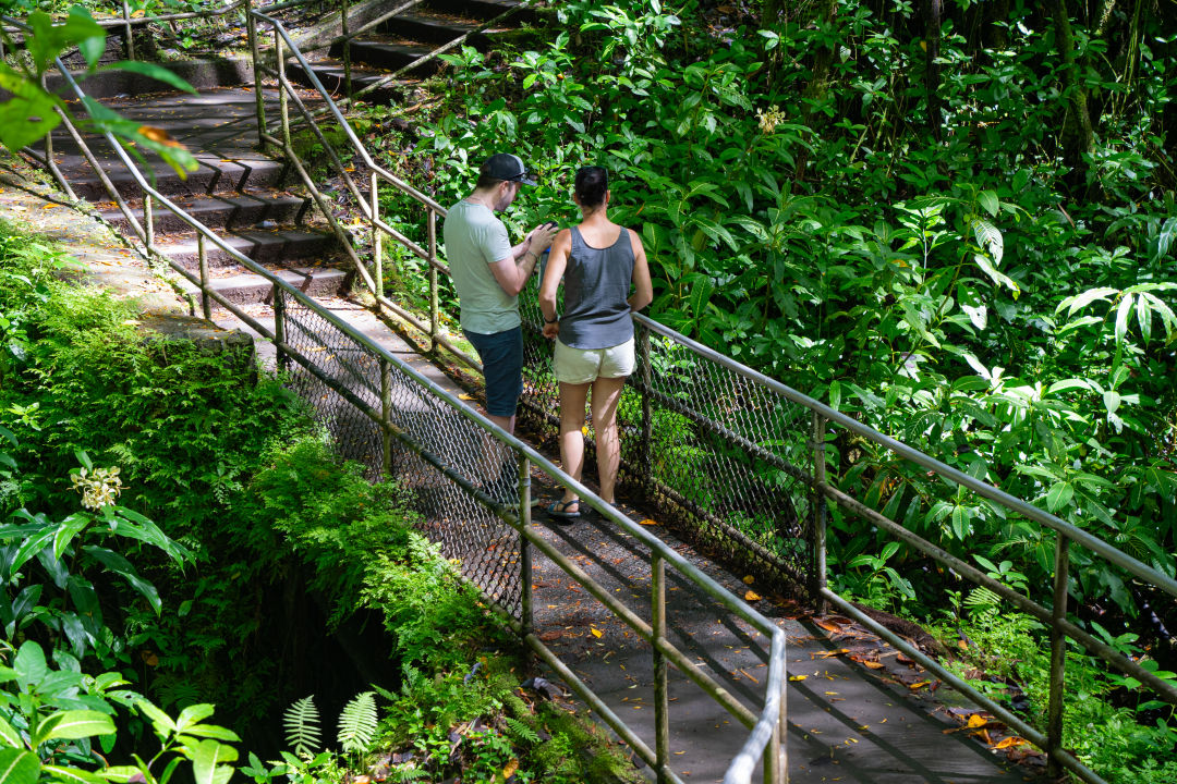 아카카 폭포 열대우림