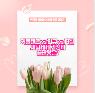 커클랜드 vs 리큐 vs 퍼실 세탁세제 가성비 끝판왕은?