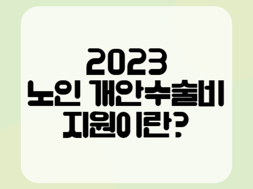 2023 노인 개안수술비 지원