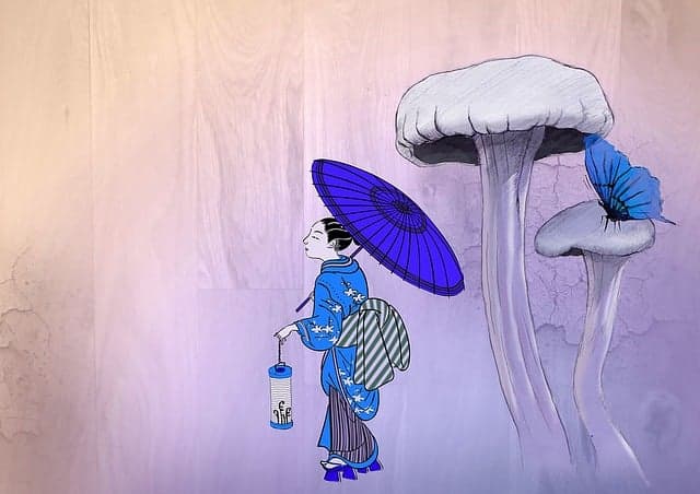 🍱 혼자 떠나는 후쿠오카 당일치기 여행 가이드 – 먹방+관광 루트