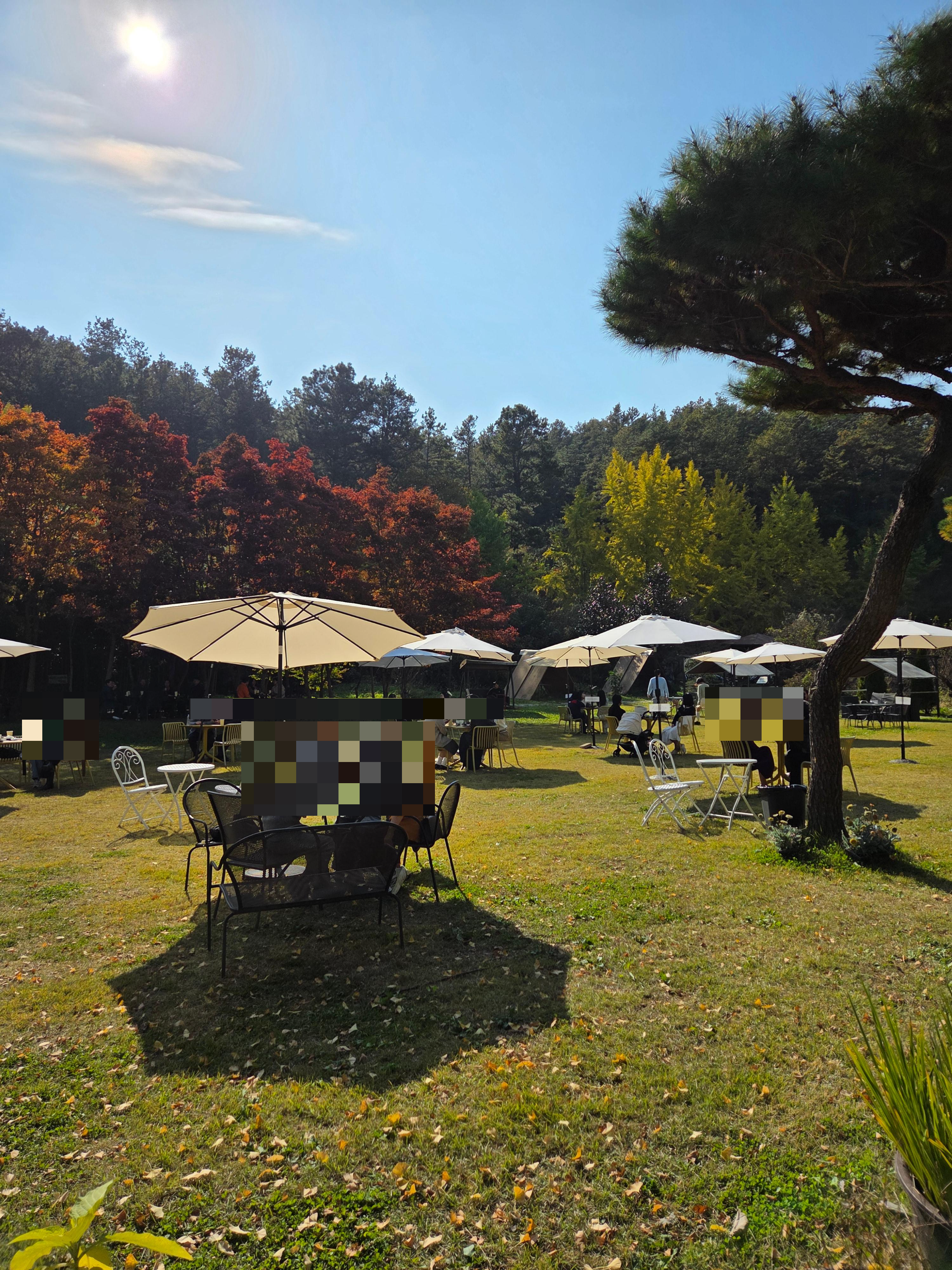 나주 은행나무수목원 숲길