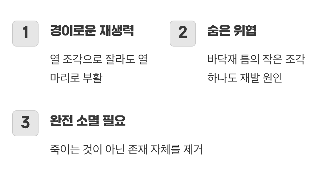 잘라도 살아나는 좀비 같은 생명력