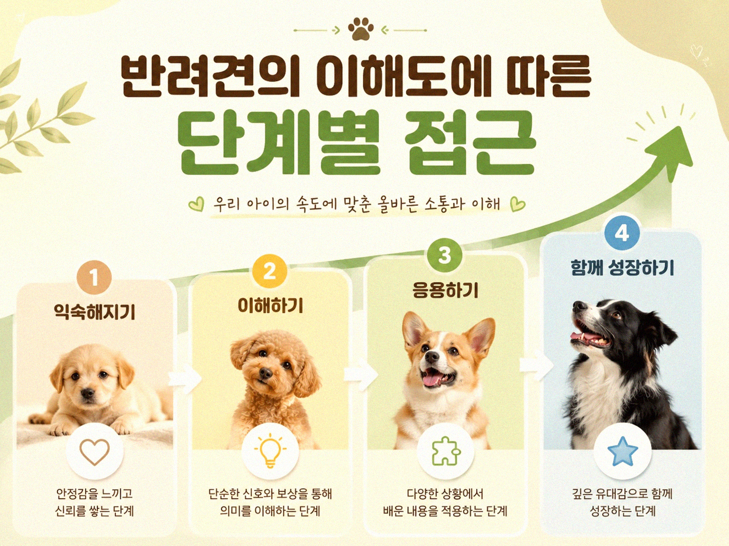 반려견 공 물어오기, 이렇게 연습하면 금방 따라해요