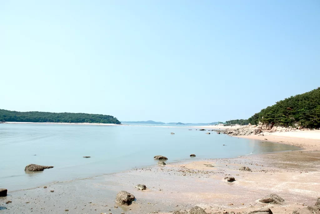 물이 빠져 길이 열린 실미도로 건너가는 사람들의 풍경.