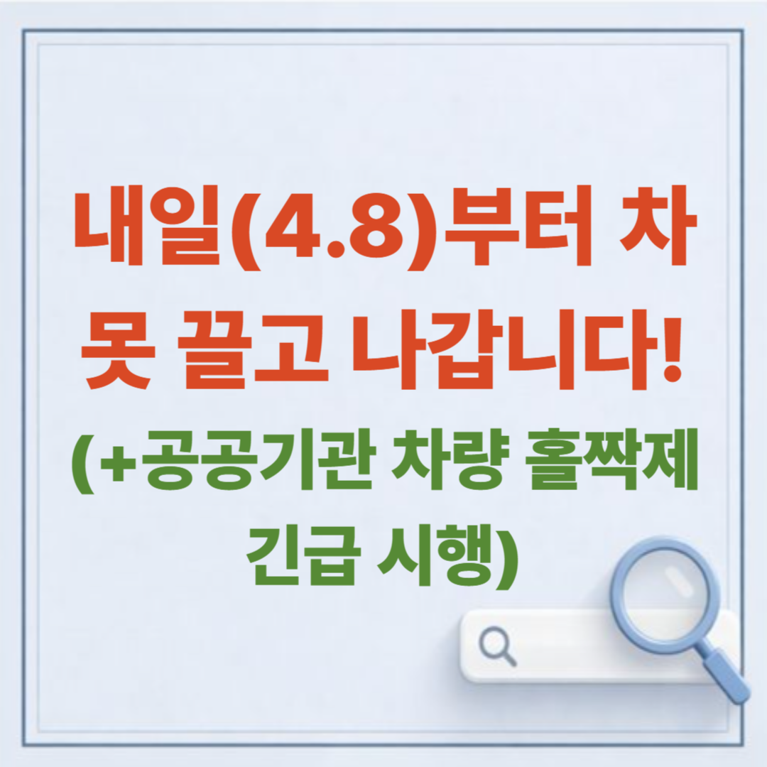 내일(4.8)부터 차 못 끌고 나갑니다! 공공기관 차량 홀짝제 긴급 시행 (대상·예외 총정리)