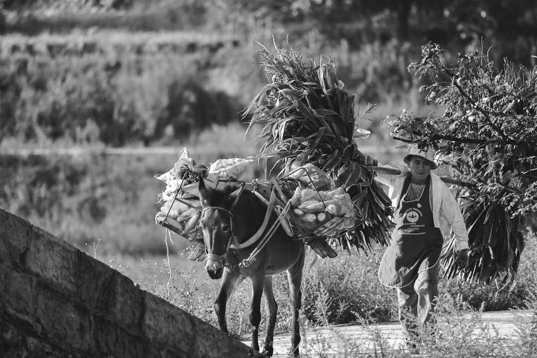 Farmers.