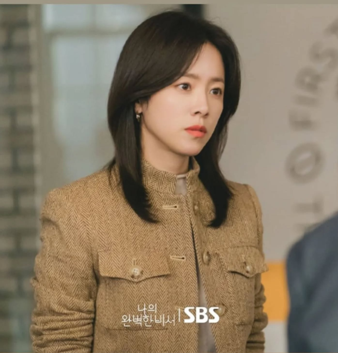 나의 완벽한 비서 한지민