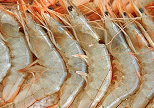 태안 가볼만한곳