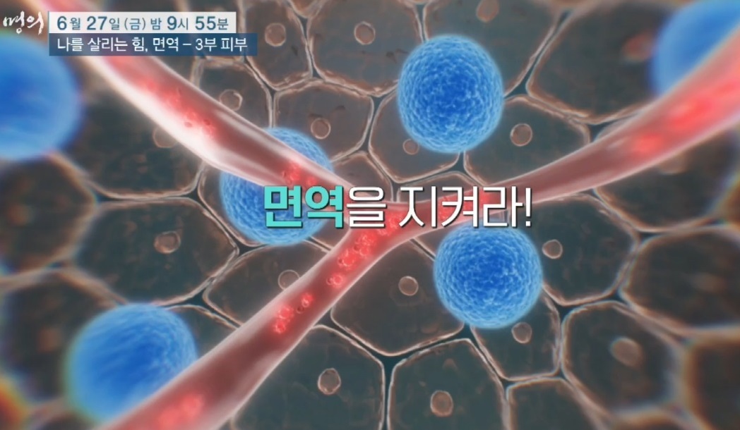 최용범-교수