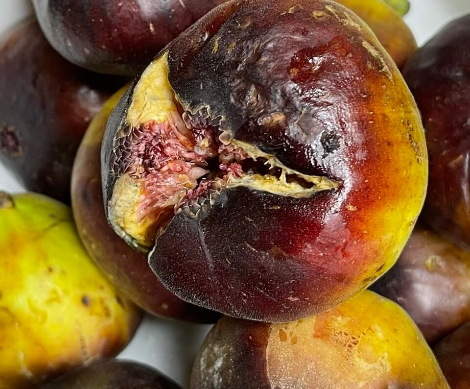 무화과 효능과 부작용