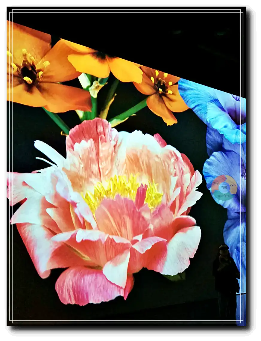 화담채_미디어아트-노란꽃-파란꽃-분홍꽃